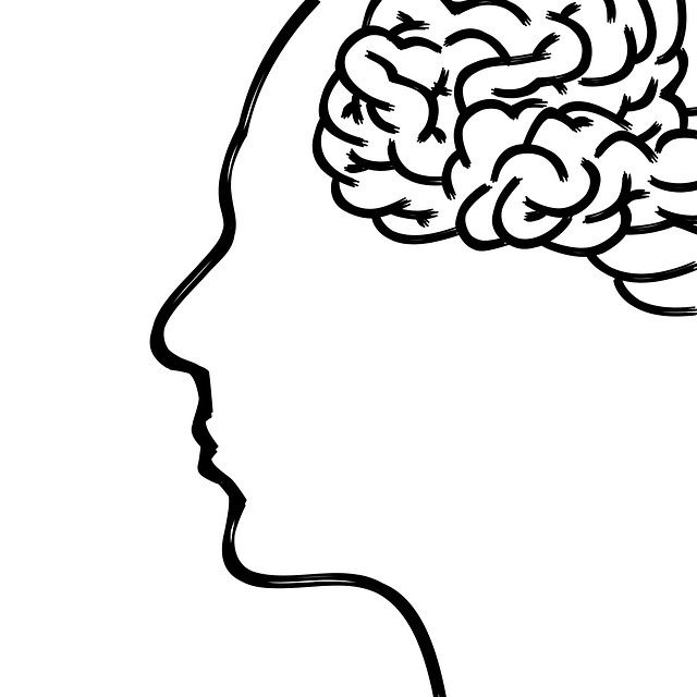 Grafika/minimalistyczny rysunek - na białym tle narysowano czarnym cyfrowym pędzlem kształt ludzkiej głowy a w nim kształt mózgu (wraz ze zwojami itd.) - wszystko rysowane minimalistycznie czarnym narzędziem, bez wypełnienia.